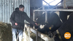 На Дальний Восток — за мечтой. Доброе утро. Фрагмент выпуска от 28.01.2019