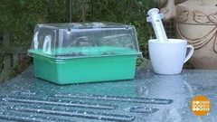 Шприц для рассады. Доброе утро. Фрагмент выпуска от 22.03.2019