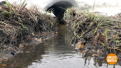 Чистим родники. Доброе утро. Фрагмент выпуска от 22.04.2019