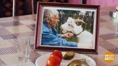 «Мама Лора». Кто ответит за козла? Доброе утро. Фрагмент выпуска от 14.05.2019