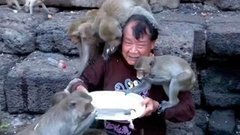 В мире. Пир обезьян. Доброе утро. Фрагмент выпуска от 14.12.2015