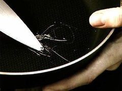 «Среда обитания. Ядовитая посуда». Документальный фильм