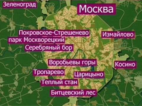 Где в подмосковье можно жарить шашлыки карта