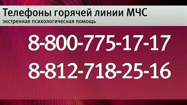 Организация горячей линии для сайта и прием входящих звонков для компаний