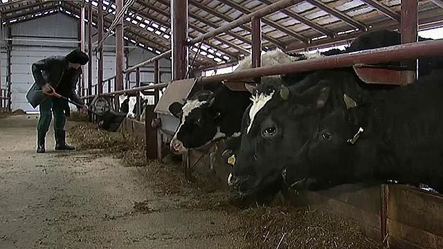 агрофирма уральская михалев с. агрофирма уральская. агрофирма уральская. семена из уральского дачника. агрофирма.