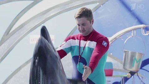 Максим Шарафутдинов. Профайл. Вместе с дельфинами. Фрагмент выпуска от 03.10.2015