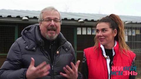 Алексей Лысенков: новый дом для собак. Живая жизнь. Фрагмент выпуска от 11.05.2019