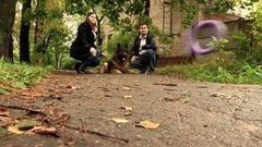 Он, она, его собака. Доброе утро. Фрагмент выпуска от 17.09.2015