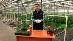 Как прорастить семена. Доброе утро. Фрагмент выпуска от 15.04.2016