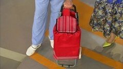 Лучшие чемоданы в дорогу. Жить здорово! Фрагмент выпуска от 01.07.2013