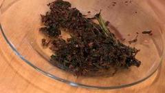 Отпугиваем комаров. Доброе утро. Фрагмент выпуска от 15.07.2016