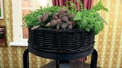 Кашпо из табуретки. Доброе утро. Фрагмент выпуска от 20.09.2016