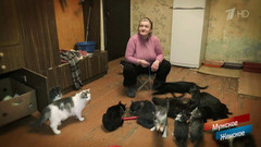 Кошки Блохиной. Мужское / Женское. Выпуск от 21.12.2016