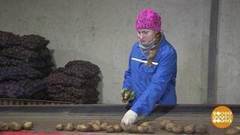 Зима! Крестьянин, торжествуя… Доброе утро. Фрагмент выпуска от 27.12.2016