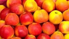 Летние витамины. Доброе утро. Фрагмент выпуска от 02.07.2015