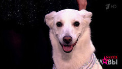 «Цирк дрессированных собак» — «Балет». Минута славы. Фрагмент выпуска от 18.02.2017