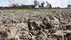 В мире. Помощь в сушь. Доброе утро. Фрагмент выпуска от 09.06.2015