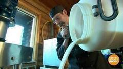 Фермерские продукты: путь к прилавку. Доброе утро. Фрагмент выпуска от 23.03.2017