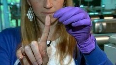 В мире. Выявляют наркоманов. Доброе утро. Фрагмент выпуска от 04.06.2015