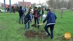 «Древо памяти». Доброе утро. Фрагмент выпуска от 17.04.2017