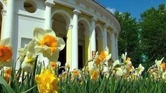 Спасибо озеленителям! Доброе утро. Фрагмент выпуска от 14.05.2015