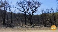 В мире. Горят леса. Доброе утро. Фрагмент выпуска от 29.08.2017