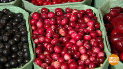 Брусника и клюква. Доброе утро. Фрагмент выпуска от 04.09.2017