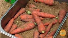 Арбуз в парафине и морковь в глине. Доброе утро. Фрагмент выпуска от 08.09.2017