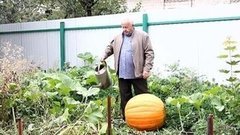 Вот так тыква! Доброе утро. Фрагмент выпуска от 10.09.2015