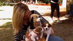 В мире. Собачье счастье. Доброе утро. Фрагмент выпуска от 01.09.2015