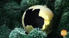 Новогодние вандалы. Доброе утро. Фрагмент выпуска от 28.12.2017