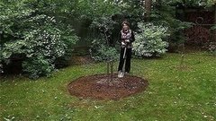 Удобряем деревья. Доброе утро. Фрагмент выпуска от 20.08.2015