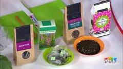 Иван-чай — полезный напиток. Жить здорово! Фрагмент выпуска от 23.03.2018