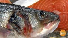 Ловись, рыбка! Только первосортная. Доброе утро. Фрагмент выпуска от 09.04.2018