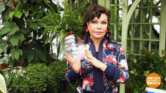 Везем рассаду на дачу. Доброе утро. Фрагмент выпуска от 28.04.2018