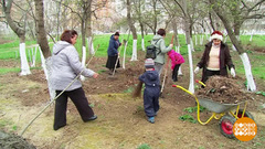 Как нам обустроить… двор. Доброе утро. Фрагмент выпуска от 03.05.2018