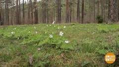 Климат на любой вкус! Доброе утро. Фрагмент выпуска от 15.05.2018