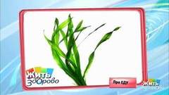 Ламинария или морская капуста. Жить здорово! Фрагмент выпуска от 15.05.2018