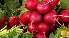 Чтобы редиска не оказалась «редиской». Доброе утро. Фрагмент выпуска от 16.05.2018