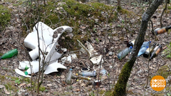 Лес — не свалка! Доброе утро. Фрагмент выпуска от 28.05.2018