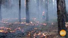 Почему горят леса? Доброе утро. Фрагмент выпуска от 26.07.2018