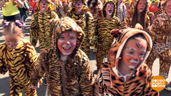 Спасти амурского тигра. Доброе утро. Фрагмент выпуска от 01.10.2018