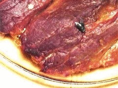 «Среда обитания. Что мы едим?» Документальный фильм