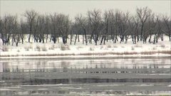 Остров Сарпинский