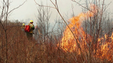 В Мурманской области бушуют крупные природные пожары
