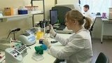 Разработанная в России вакцина против Эболы будет представлена на исполкоме ВОЗ