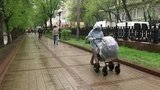 Выходные в центральных районах России будут дождливыми и прохладными