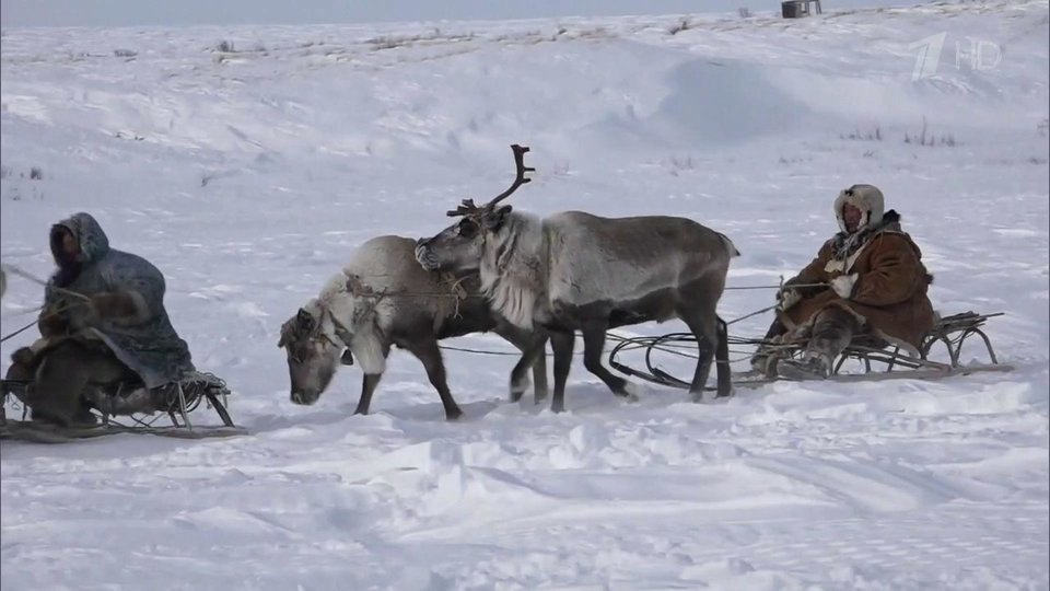 Чукотка Непутевые заметки Выпуск от07022016