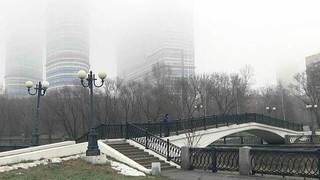 Центральные районы России накрыл густой туман, затруднена работа аэропортов