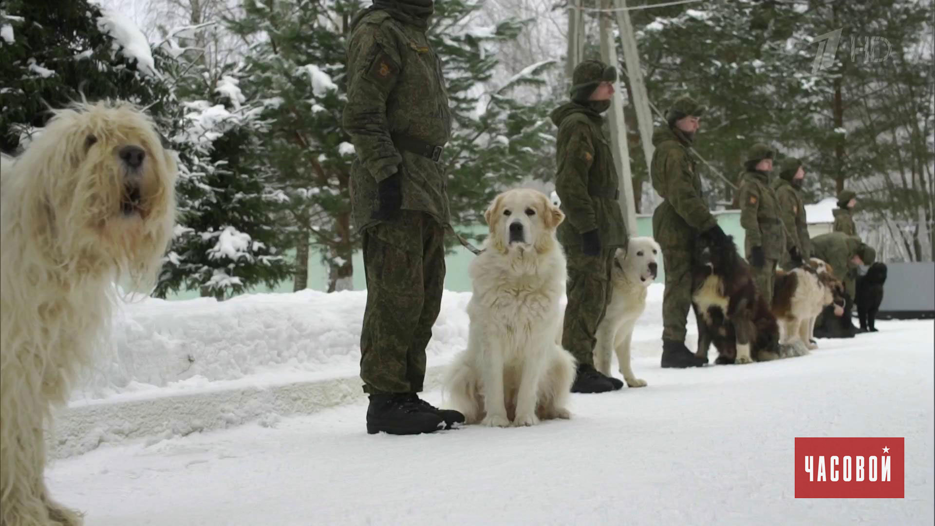 «Часовой»